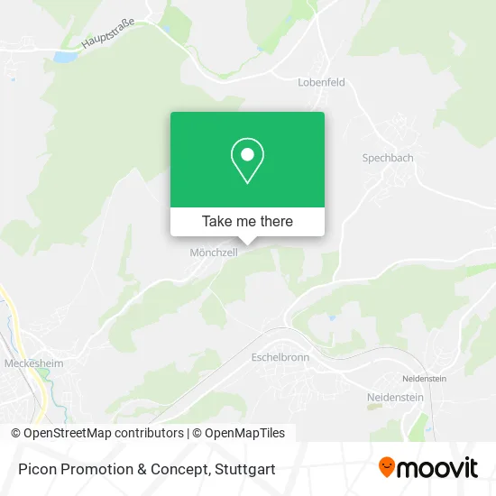 Picon Promotion & Concept map