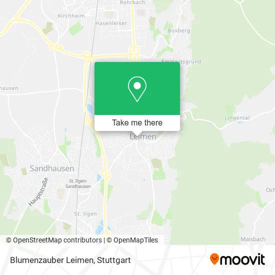 Карта Blumenzauber Leimen