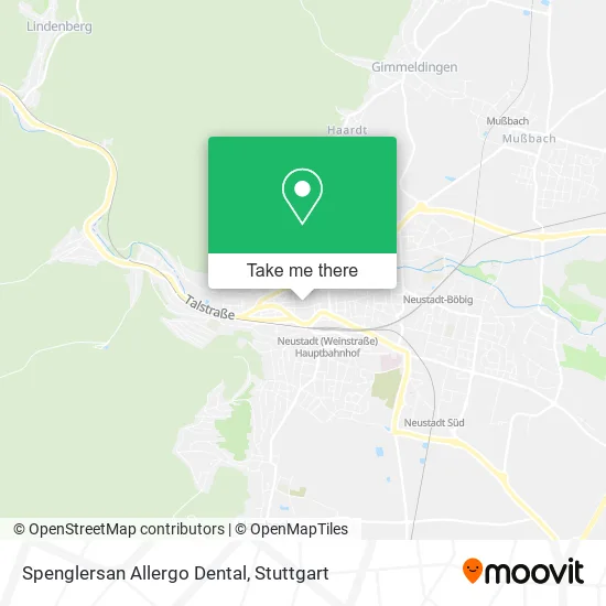 Карта Spenglersan Allergo Dental