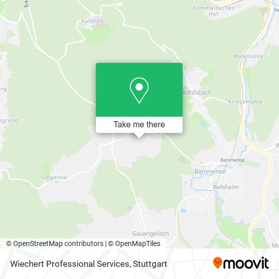 Карта Wiechert Professional Services
