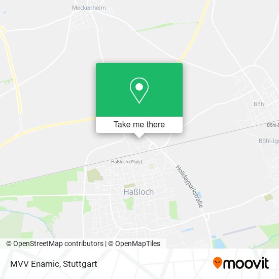 Карта MVV Enamic