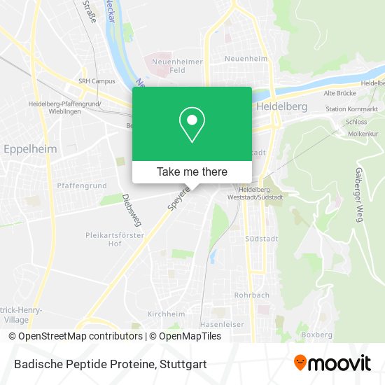 Badische Peptide Proteine map