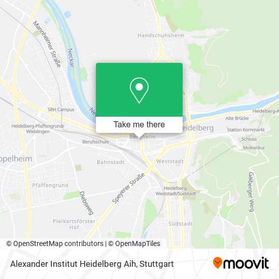 Карта Alexander Institut Heidelberg Aih