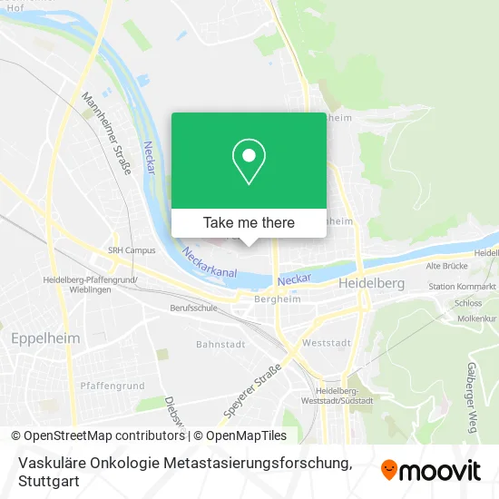 Карта Vaskuläre Onkologie Metastasierungsforschung