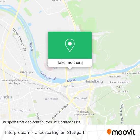 Карта Interpreteam Francesca Biglieri