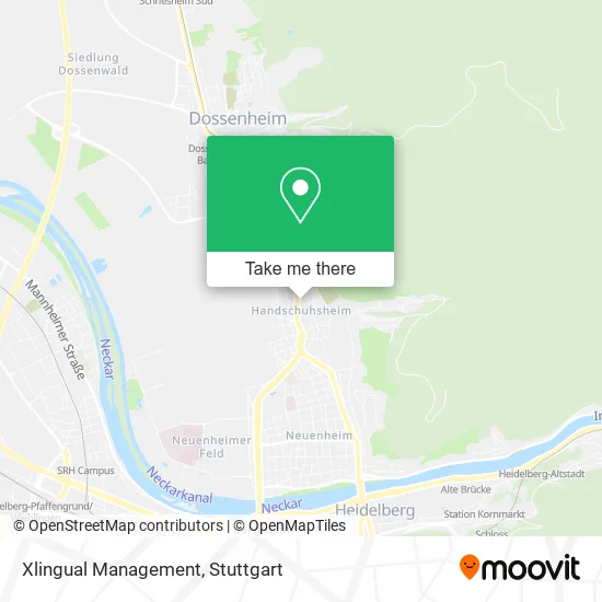 Карта Xlingual Management