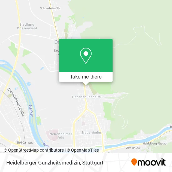 Карта Heidelberger Ganzheitsmedizin