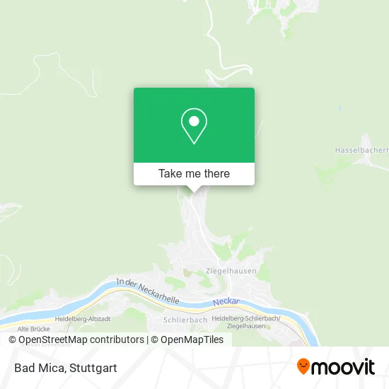 Карта Bad Mica