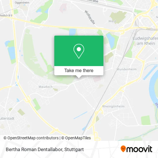 Карта Bertha Roman Dentallabor
