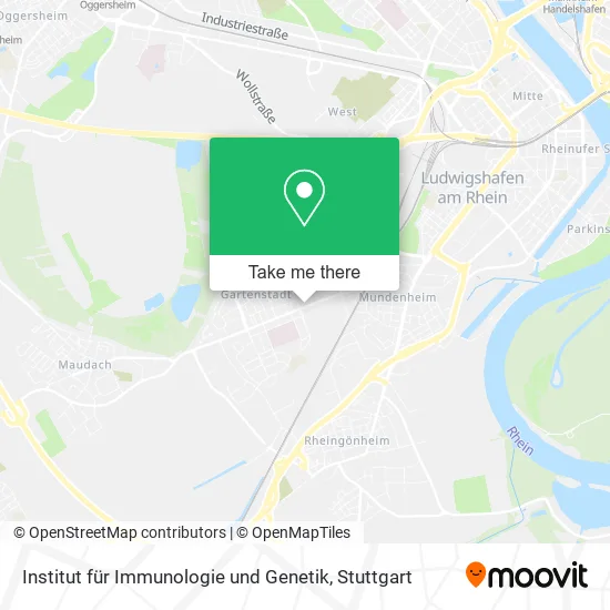 Карта Institut für Immunologie und Genetik