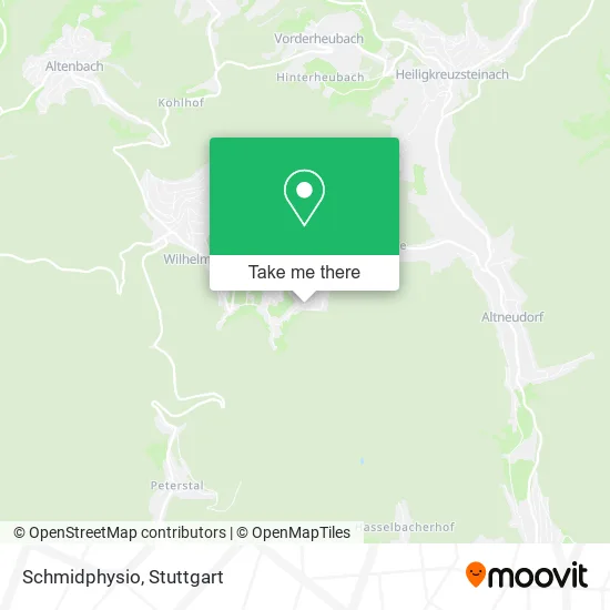 Карта Schmidphysio