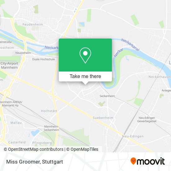 Карта Miss Groomer