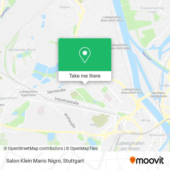 Карта Salon Klein Mario Nigro