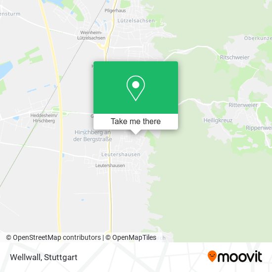 Карта Wellwall