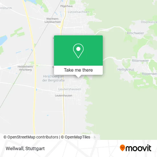 Карта Wellwall