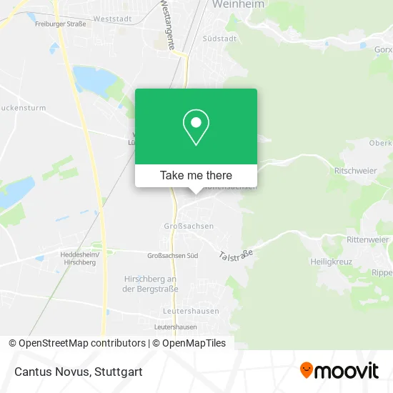 Карта Cantus Novus