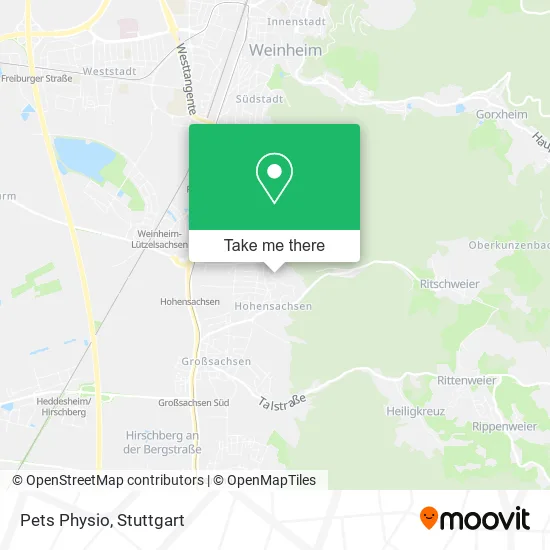Карта Pets Physio