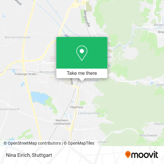 Карта Nina Eirich