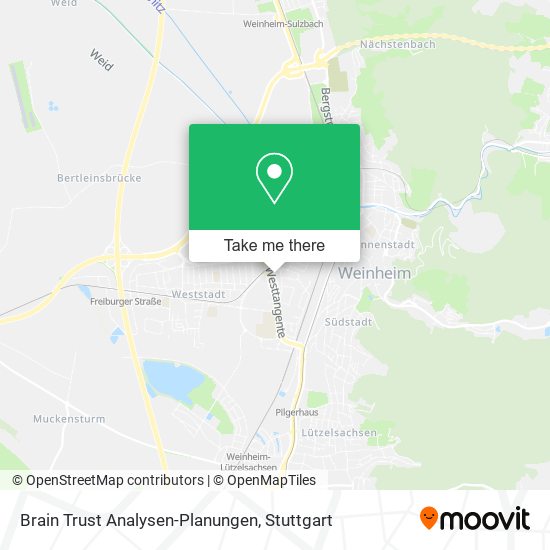 Brain Trust Analysen-Planungen map