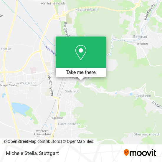 Карта Michele Stella