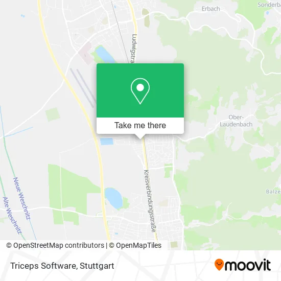 Карта Triceps Software