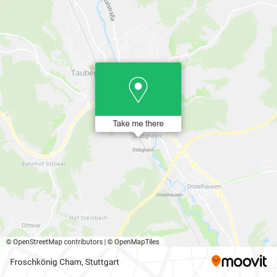 Карта Froschkönig Cham