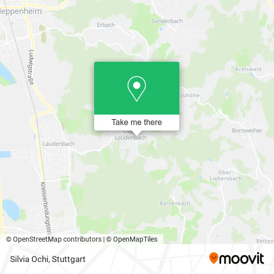 Карта Silvia Ochi