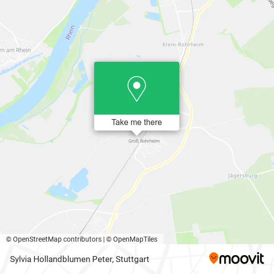 Карта Sylvia Hollandblumen Peter