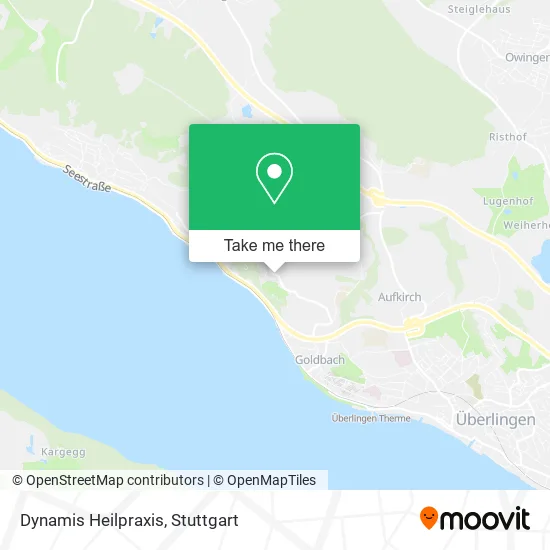 Карта Dynamis Heilpraxis