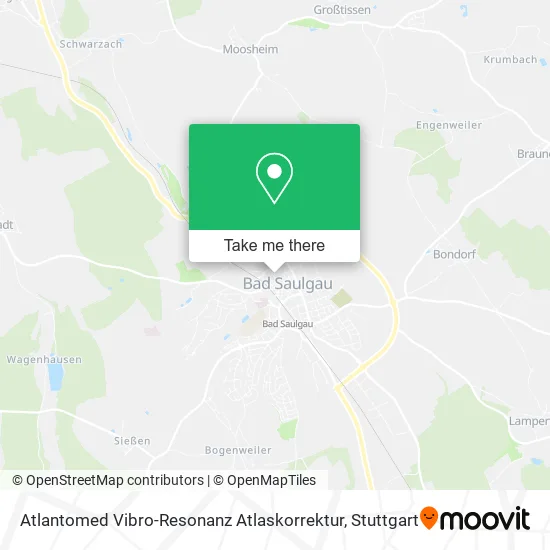 Карта Atlantomed Vibro-Resonanz Atlaskorrektur