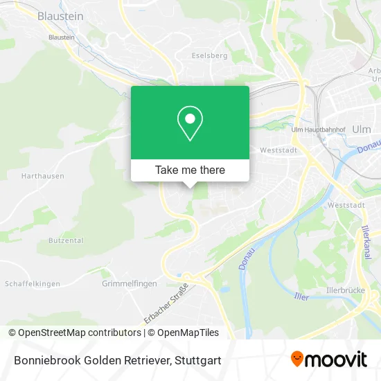 Карта Bonniebrook Golden Retriever