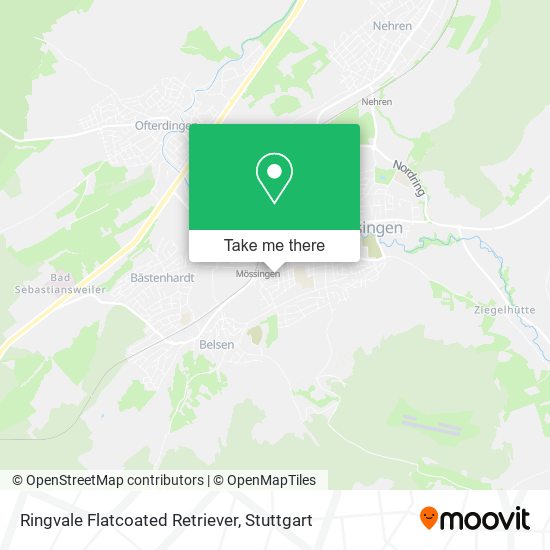 Карта Ringvale Flatcoated Retriever