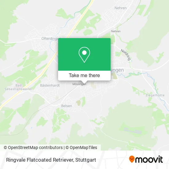 Ringvale Flatcoated Retriever map