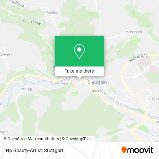 Карта Np Beauty-Artist