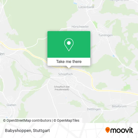 Карта Babyshoppen