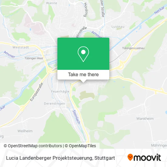 Карта Lucia Landenberger Projektsteuerung