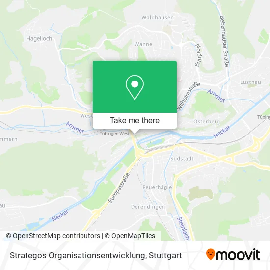 Карта Strategos Organisationsentwicklung