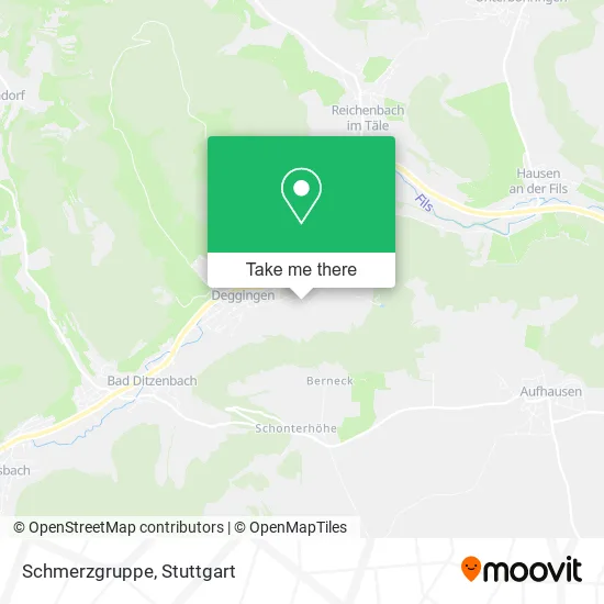 Карта Schmerzgruppe