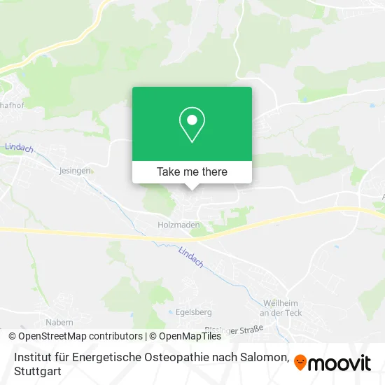 Карта Institut für Energetische Osteopathie nach Salomon