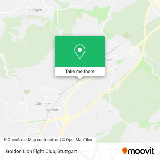 Golden Lion Fight Club map