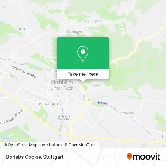Карта Borlabs Cookie