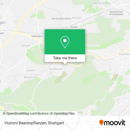 Hummi Beerenpflanzen map