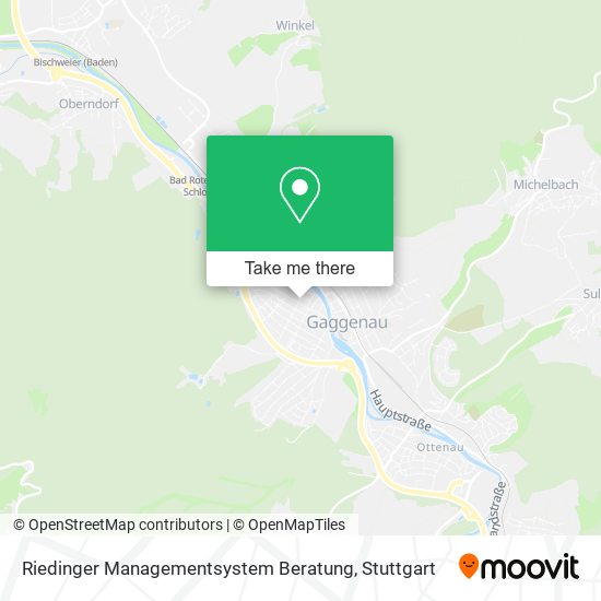 Riedinger Managementsystem Beratung map