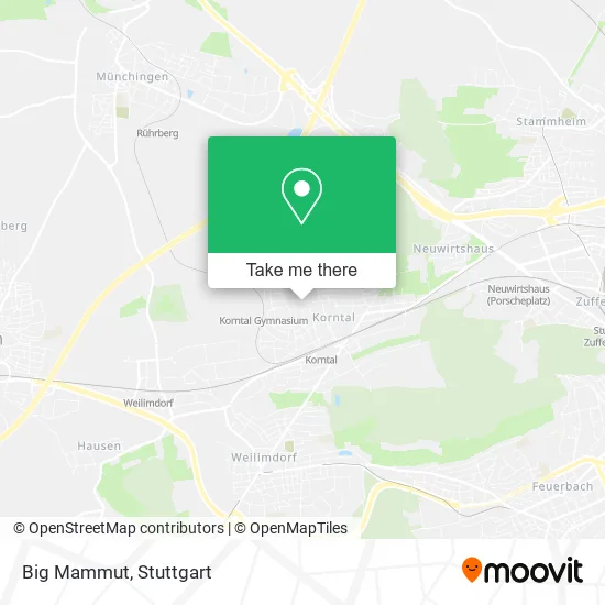 Карта Big Mammut