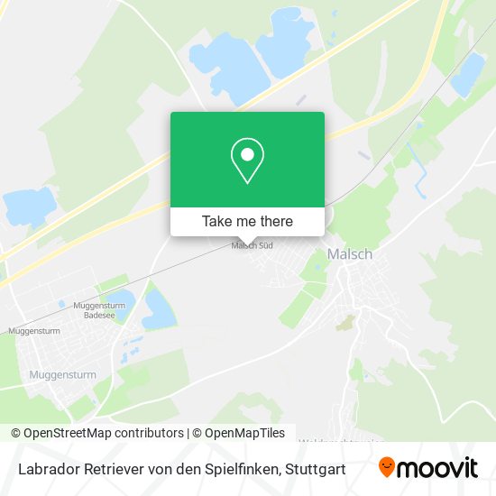Карта Labrador Retriever von den Spielfinken