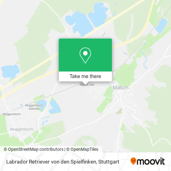 Карта Labrador Retriever von den Spielfinken