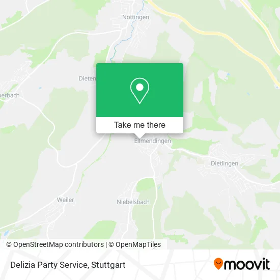 Карта Delizia Party Service