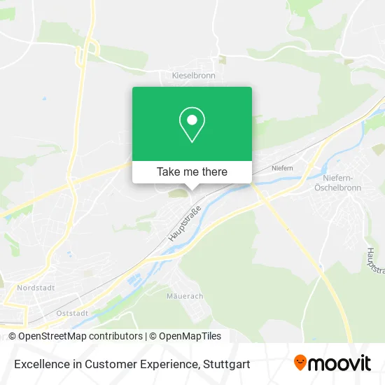 Карта Excellence in Customer Experience