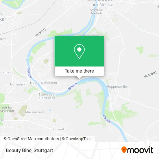 Карта Beauty Bine