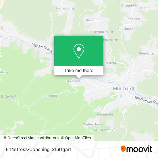 Карта Fit4stress-Coaching